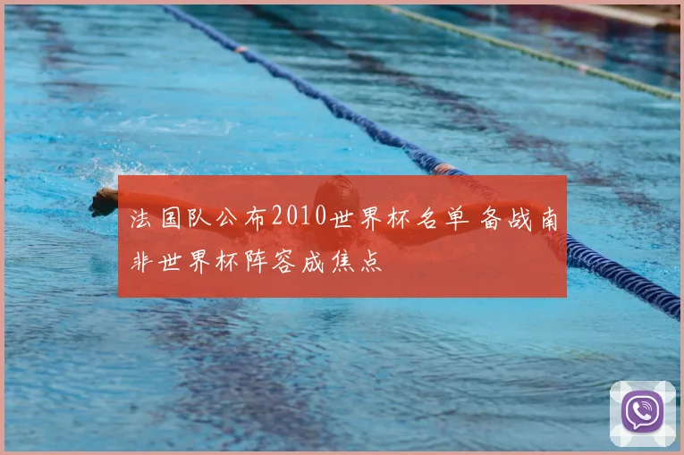法国队公布2010世界杯名单 备战南非世界杯阵容成焦点