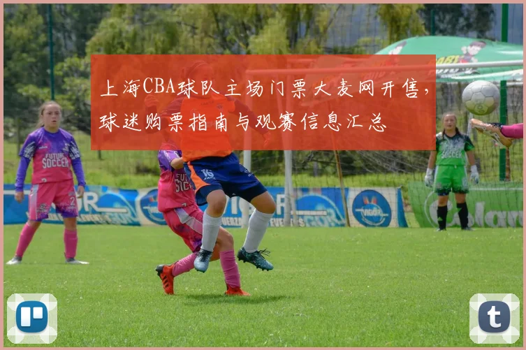 上海CBA球队主场门票大麦网开售，球迷购票指南与观赛信息汇总