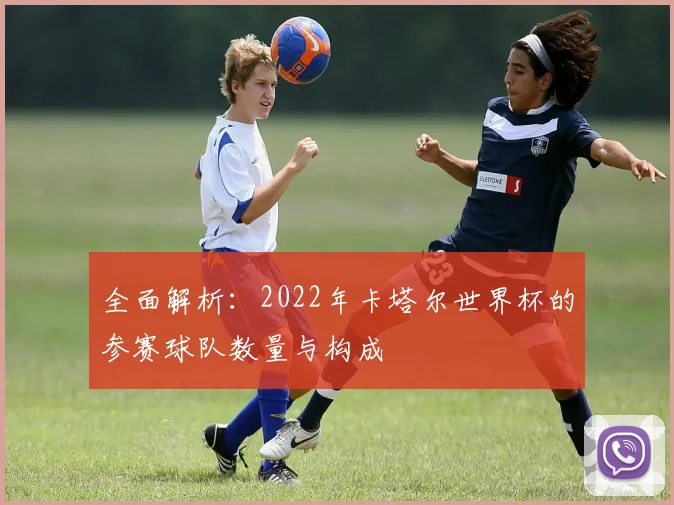 全面解析：2022年卡塔尔世界杯的参赛球队数量与构成