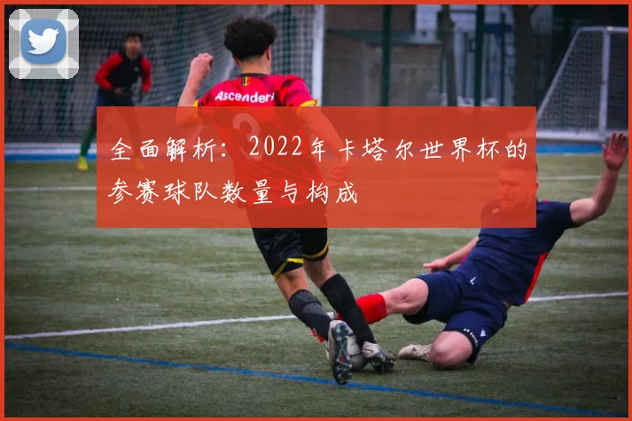 全面解析：2022年卡塔尔世界杯的参赛球队数量与构成