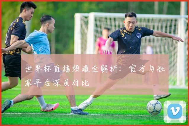 世界杯直播频道全解析:官方与独家平台深度对比