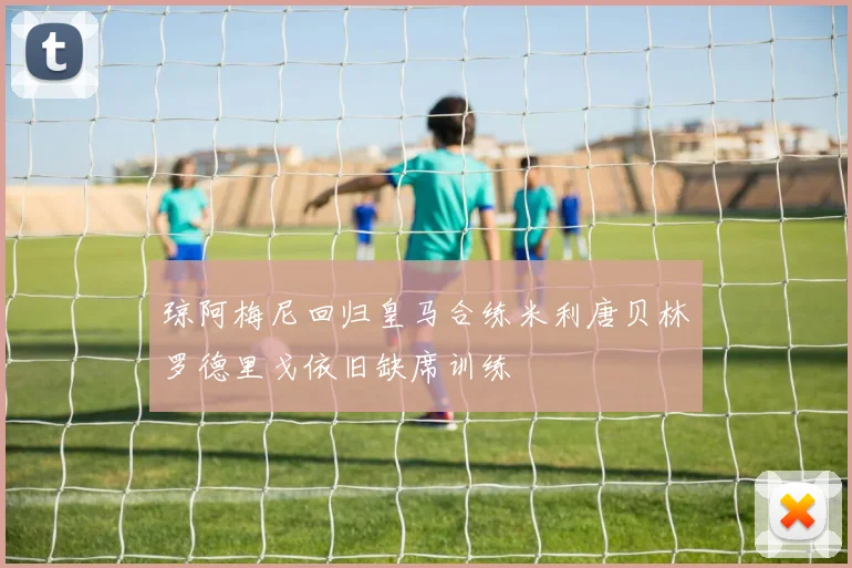 琼阿梅尼回归皇马合练米利唐贝林罗德里戈依旧缺席训练