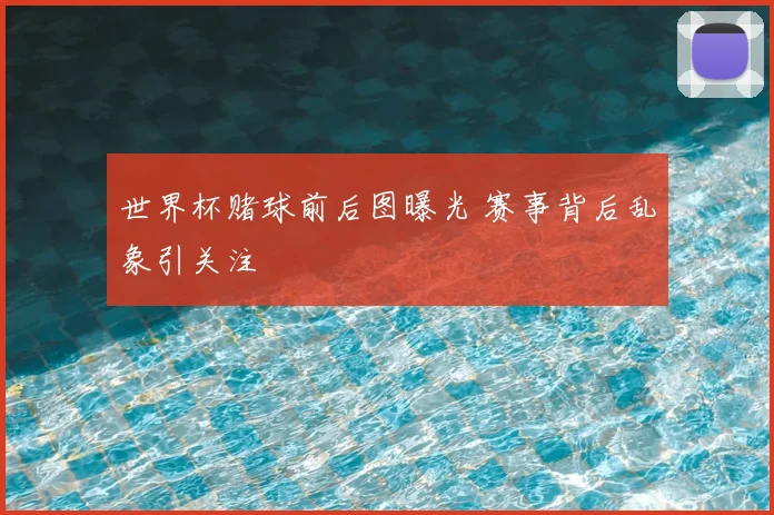 世界杯赌球前后图曝光 赛事背后乱象引关注