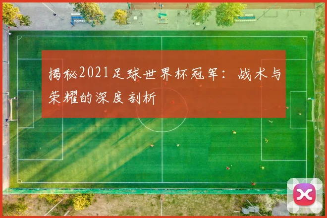 揭秘2021足球世界杯冠军：战术与荣耀的深度剖析