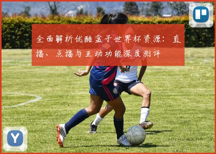 全面解析优酷盒子世界杯资源：直播、点播与互动功能深度测评